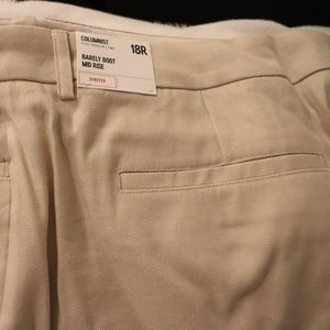 NWT Express Columnist Pant
